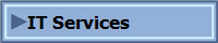 IT Services